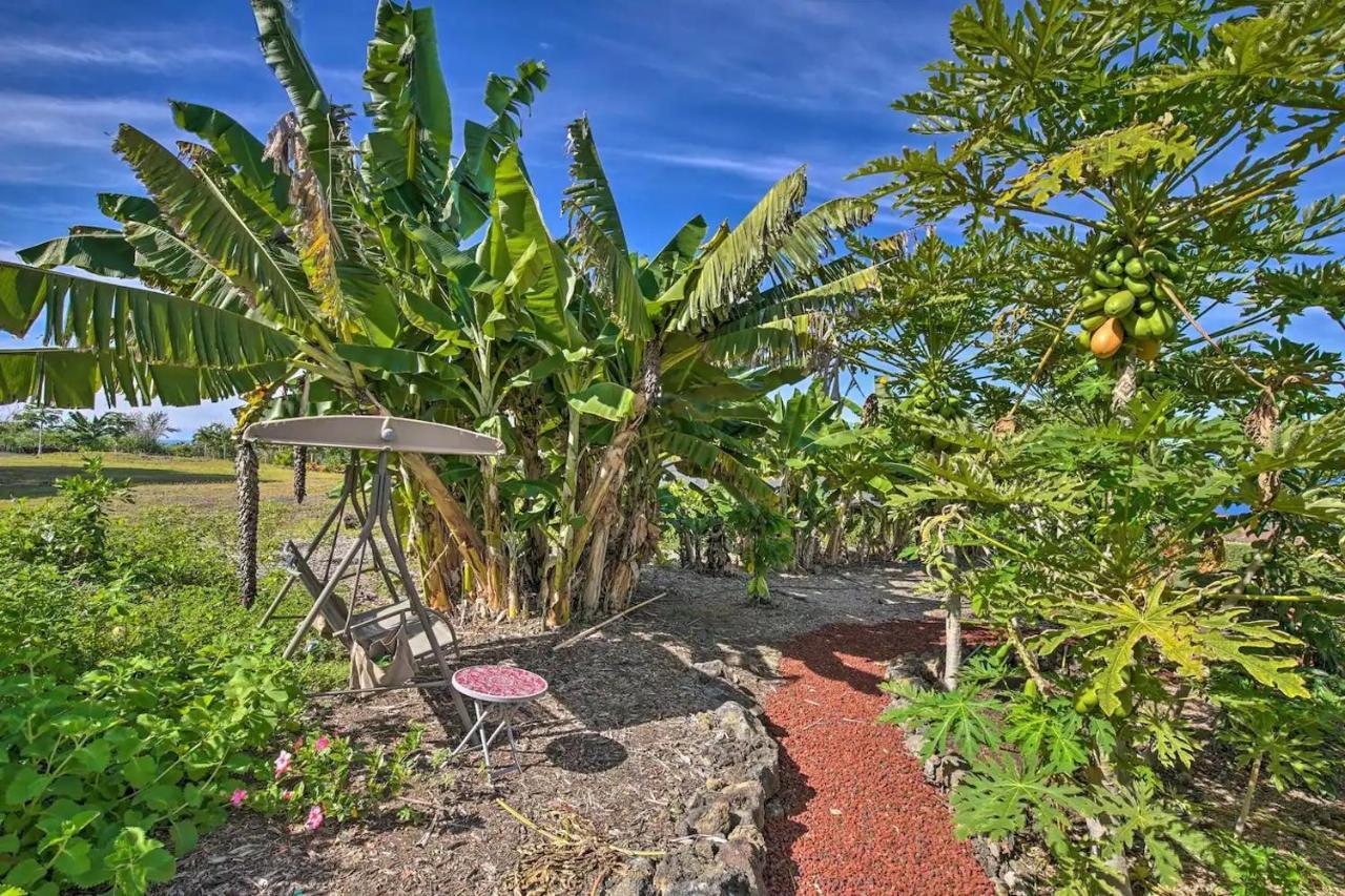Tranquility Guest House Holualoa Dış mekan fotoğraf